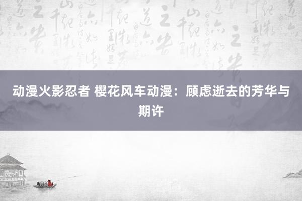 动漫火影忍者 樱花风车动漫：顾虑逝去的芳华与期许