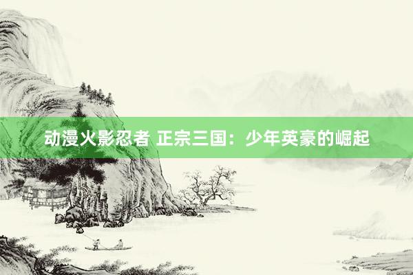 动漫火影忍者 正宗三国：少年英豪的崛起