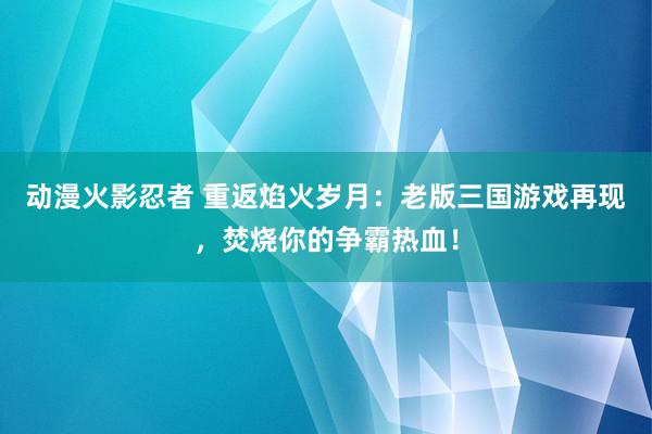 动漫火影忍者 重返焰火岁月：老版三国游戏再现，焚烧你的争霸热血！