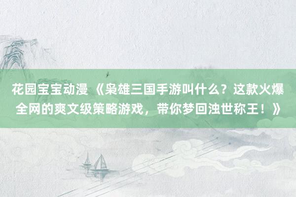 花园宝宝动漫 《枭雄三国手游叫什么？这款火爆全网的爽文级策略游戏，带你梦回浊世称王！》