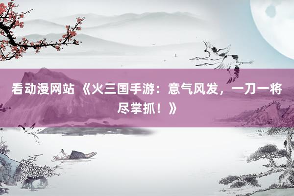 看动漫网站 《火三国手游：意气风发，一刀一将尽掌抓！》